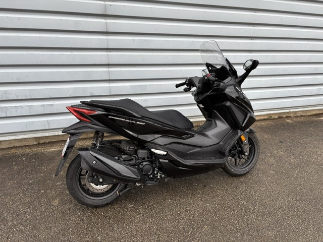 FORZA 350 - CHALON S/ SAONE